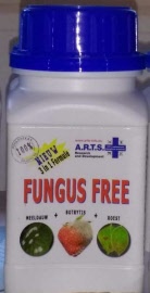 arts-fungus-free