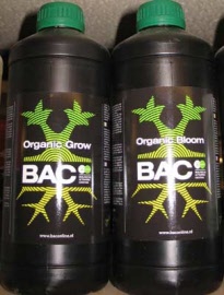 bac-organic-bloom