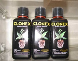 clonex-gel-300ml