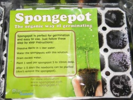 spongepot-seeds-germination